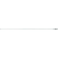 Antena