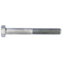 Bouten 12X160mm