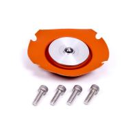 EFI Regulator Repair Kit