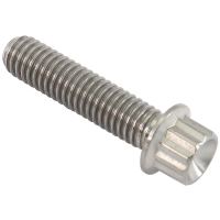 M6x1.00 TITANIUM BOLT 25mm UHL12 POINT SINGLE M6 x 1.00mm