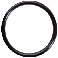 O-Ring Oljepickup