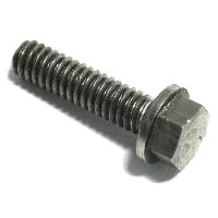 Bult 1/4"-25 Rf 309646 X