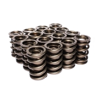 ENG VALVE SPRING KIT