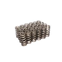 ENG VALVE SPRING KIT