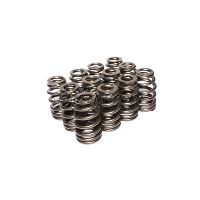 ENG VALVE SPRING KIT