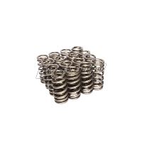 ENG VALVE SPRING KIT