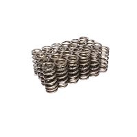 ENG VALVE SPRING KIT
