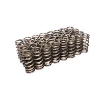 ENG VALVE SPRING KIT