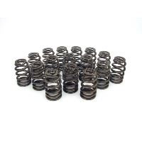 ENG VALVE SPRING KIT