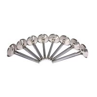 Engine Intake Valve