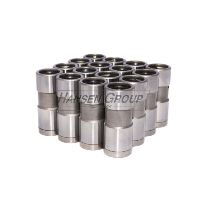 ENG VALVE LIFTER KIT