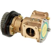 Sjövattenpump