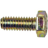 Bult 5/16"
