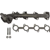 Manifold