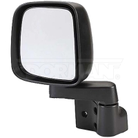 Door Mirror