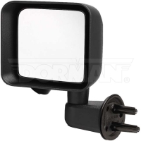 Door Mirror
