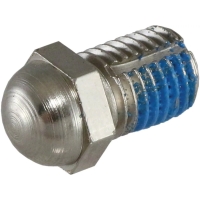 Roof lock adjustment bolt