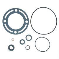 KIT PUMP SEAL