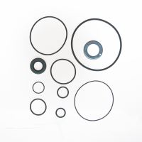 KIT PUMP SEAL