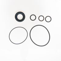 KIT PUMP SEAL