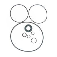 KIT PUMP SEAL