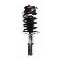 Suspension Strut and Coil Spring Assembly