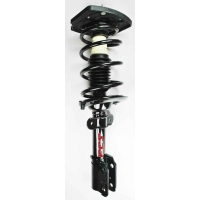 Suspension Strut and Coil Spring Assembly