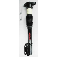 Suspension Strut and Coil Spring Assembly