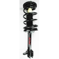 Suspension Strut and Coil Spring Assembly