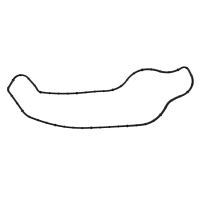 Water Outlet Gasket