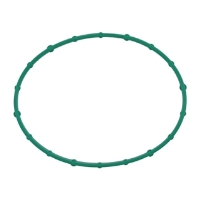 Throttle Body Gasket