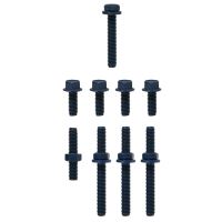 Exhaust Flange Bolt & Spring Kit