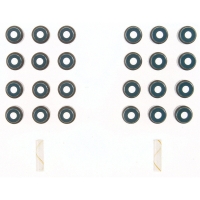 Valve Stem Seal Set