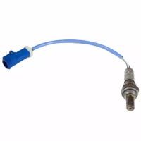 zuurstofsensor