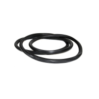 Windshield seal