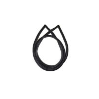 Windshield seal