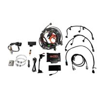 TPI EFI System