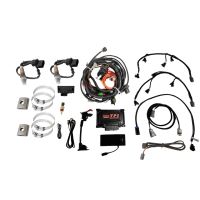 TPI EFI System