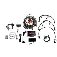 TPI EFI System