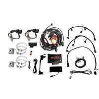TPI EFI System