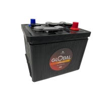 Batteri 6V