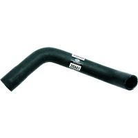 Koelslang