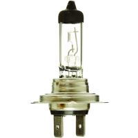 Gloeilamp
