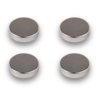 KIT FOR DISK MAGNETS