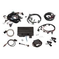 TERM X MPFI,FORD MOD 4V,STOCK COILS,EV6