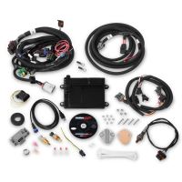 HP ECU AND HARNESS, FORD MPFI, NTK