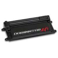 Holley Terminator