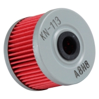 Replacement Oil Filter