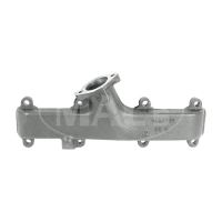 Manifold