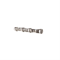 Camshaft and Lifter Kit